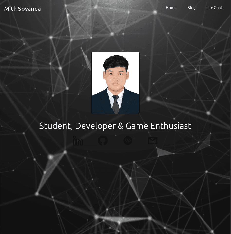 Portfolio preview